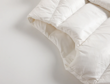 Load image into Gallery viewer, TI-BB