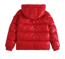 Load image into Gallery viewer, EC-RINS
