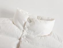 Load image into Gallery viewer, TI-BB
